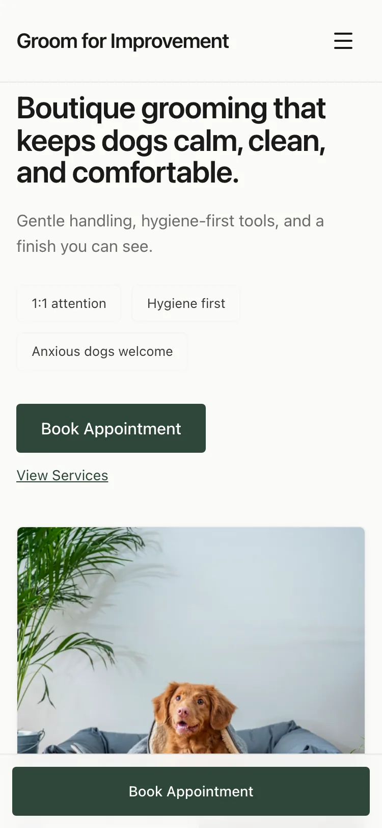 Groom for Improvement website mobile view
