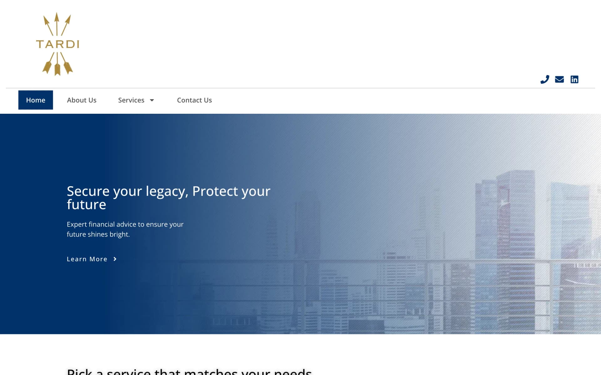 Tardi Group's old WordPress homepage: stock skyline hero and a generic 'Expert financial advice' line